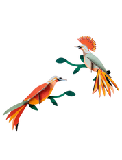 Obi Paradise Bird - 3D Paper Craft Kit