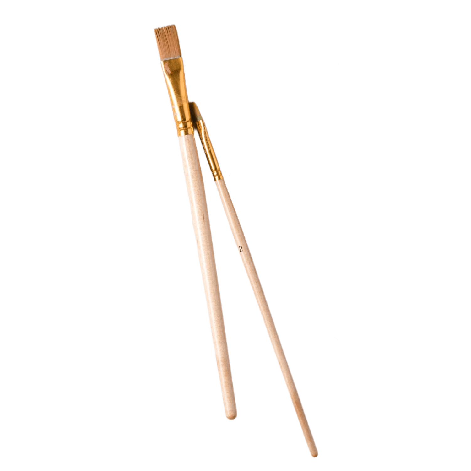 Paint Brushes Set of 2