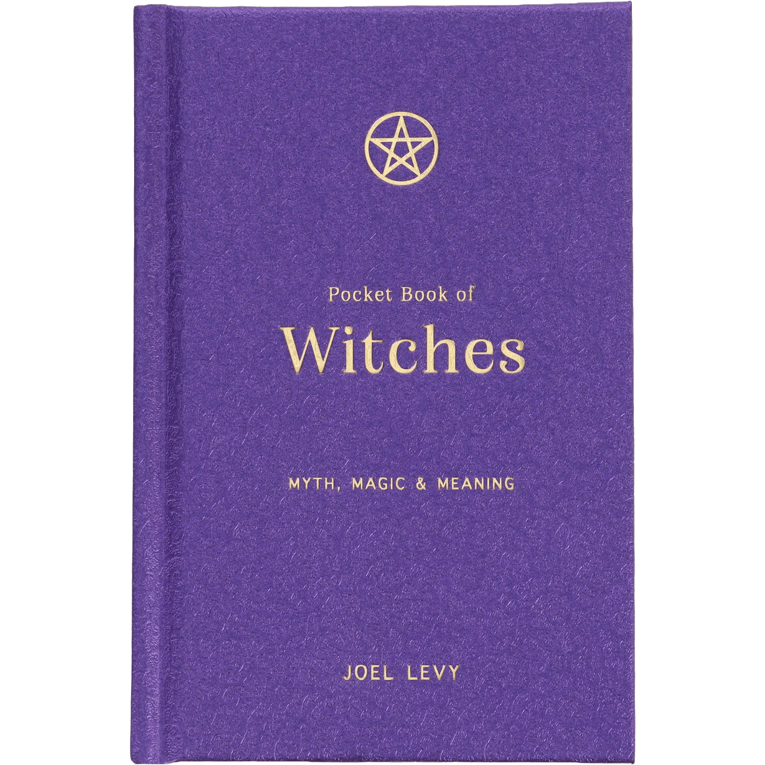pocket-book-of-witches-cover.png
