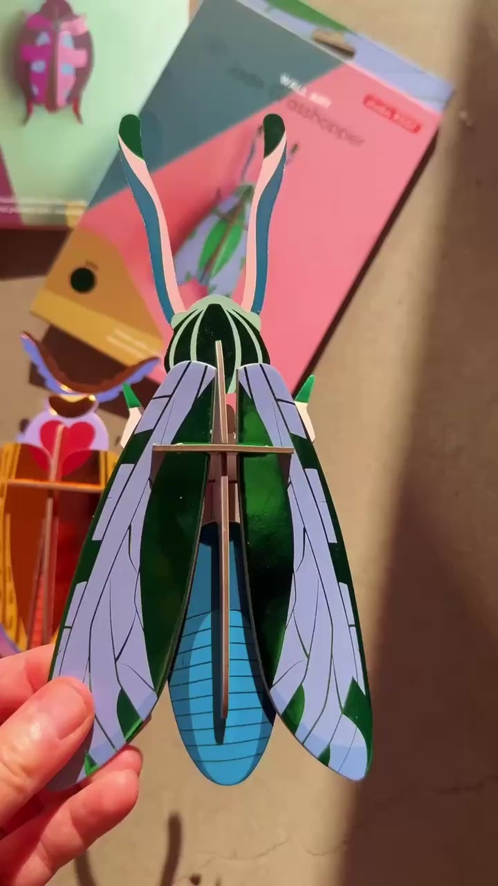 Jade Grasshopper | 3D Wall Art Craft Kit