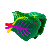 Colorful leaf-shaped object with green, yellow, red, and purple