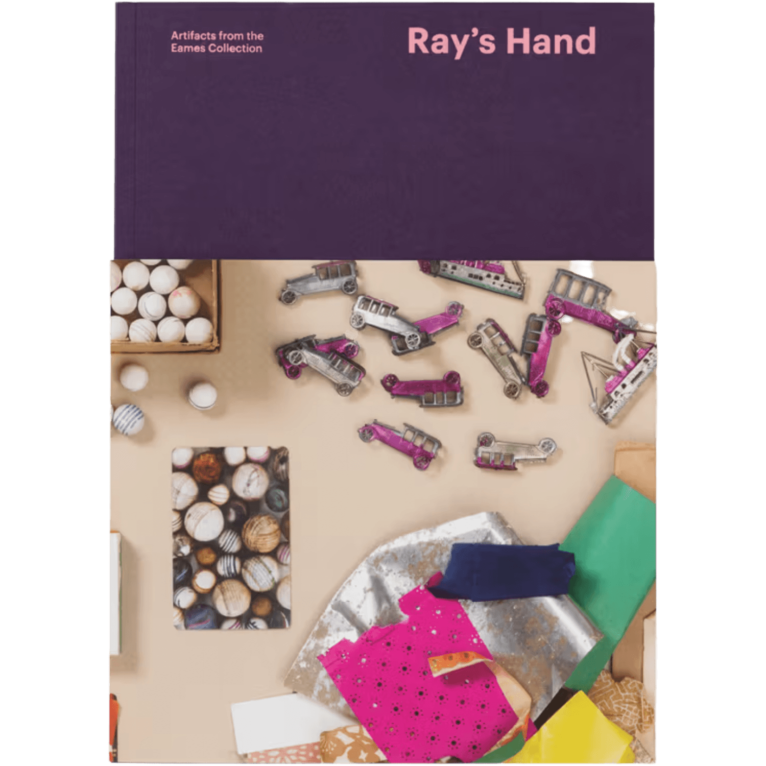 Book cover titled 'Ray's Hand' with a collage of small objects on a beige background.