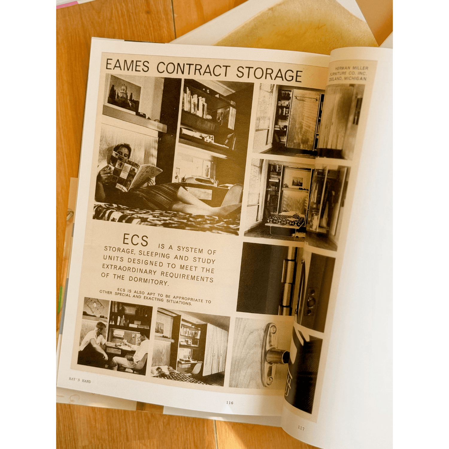 Ray's Hand | Artifacts from the Eames Collection