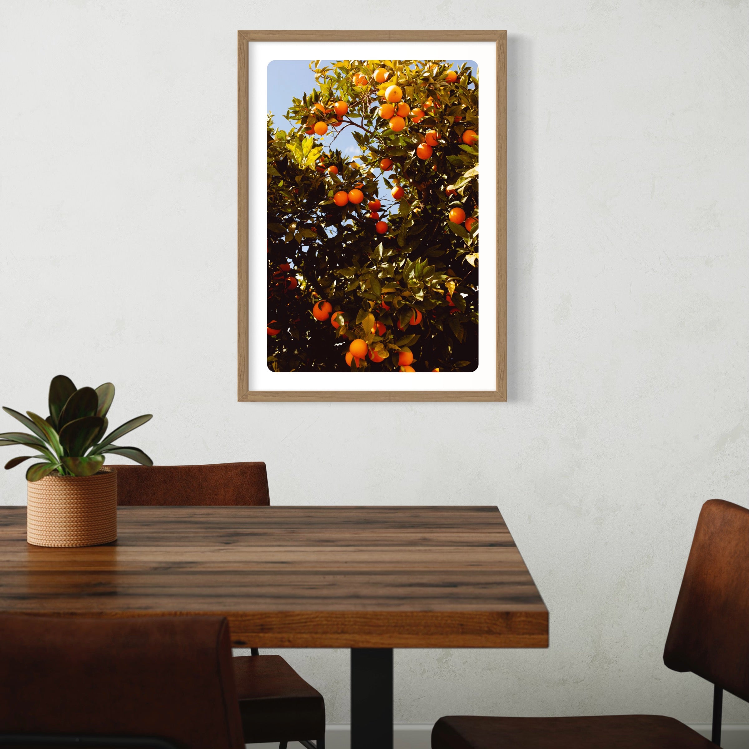 rejoice-in-orange-zahigian-arthouseandco-environment-1-IMG_7082.jpg