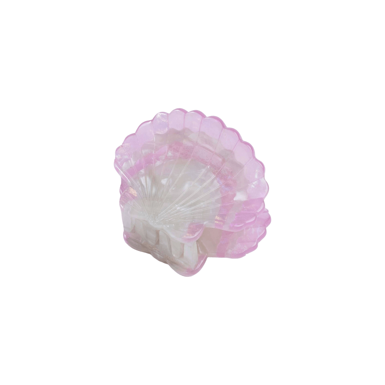 Scallop Shell | Mini Hair Claw Clip