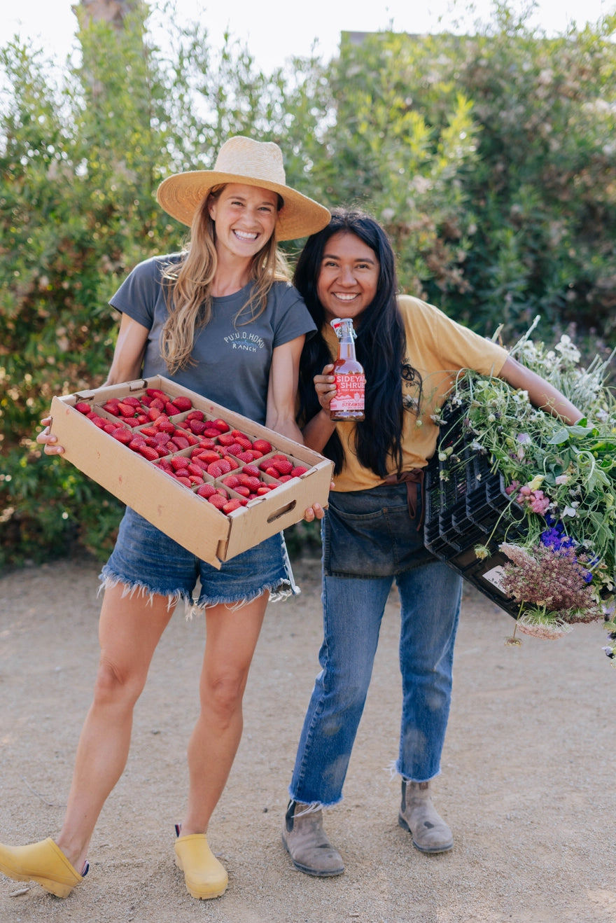 Strawberry Fruit Infused Vinegar by Sideyard Shrubs