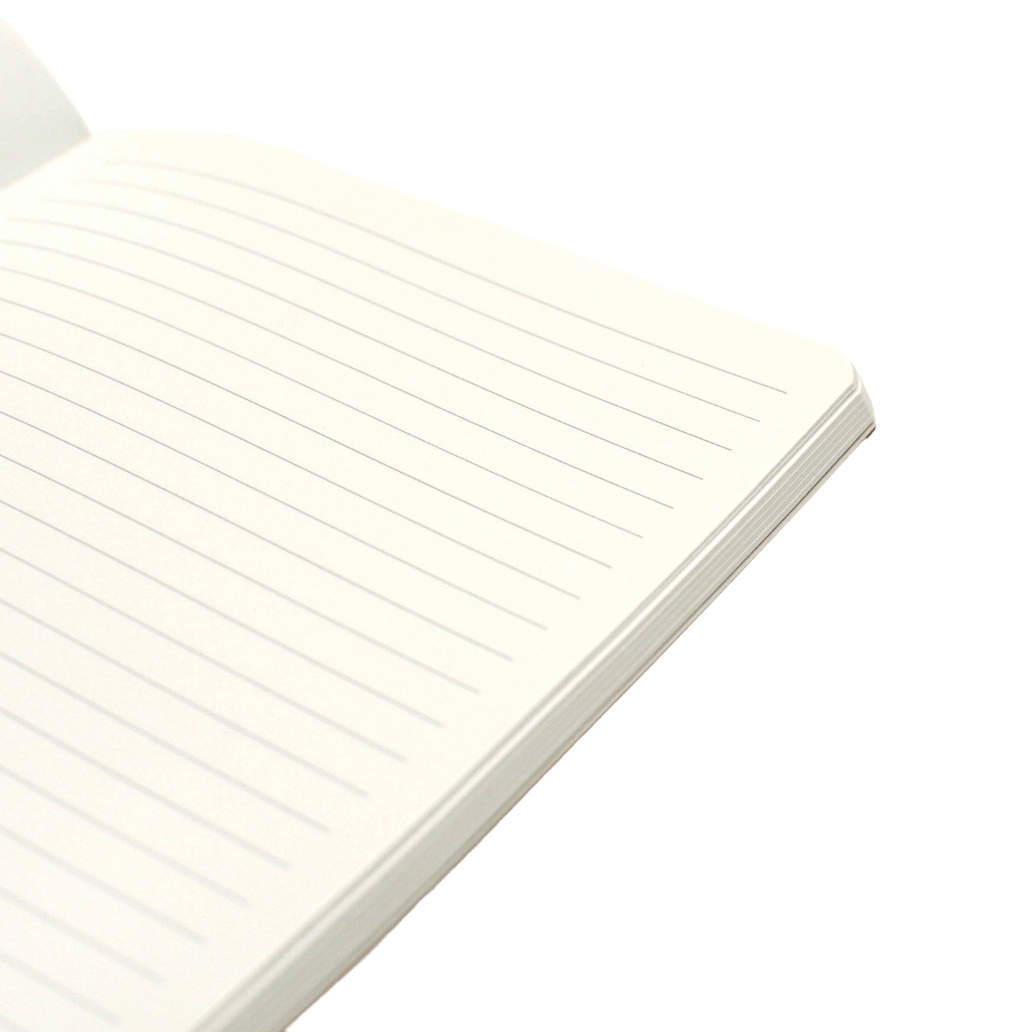 Open notebook with lined pages.