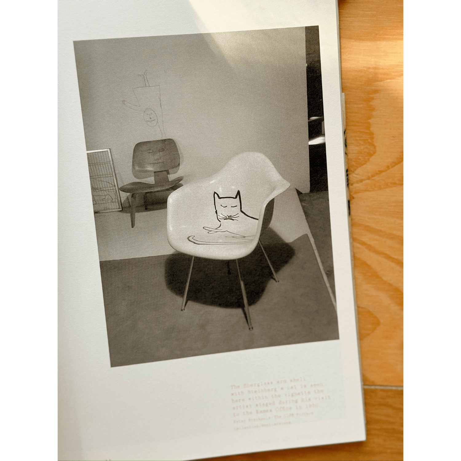 Steinberg Meets the Eameses | Artifacts from the Eames Collection