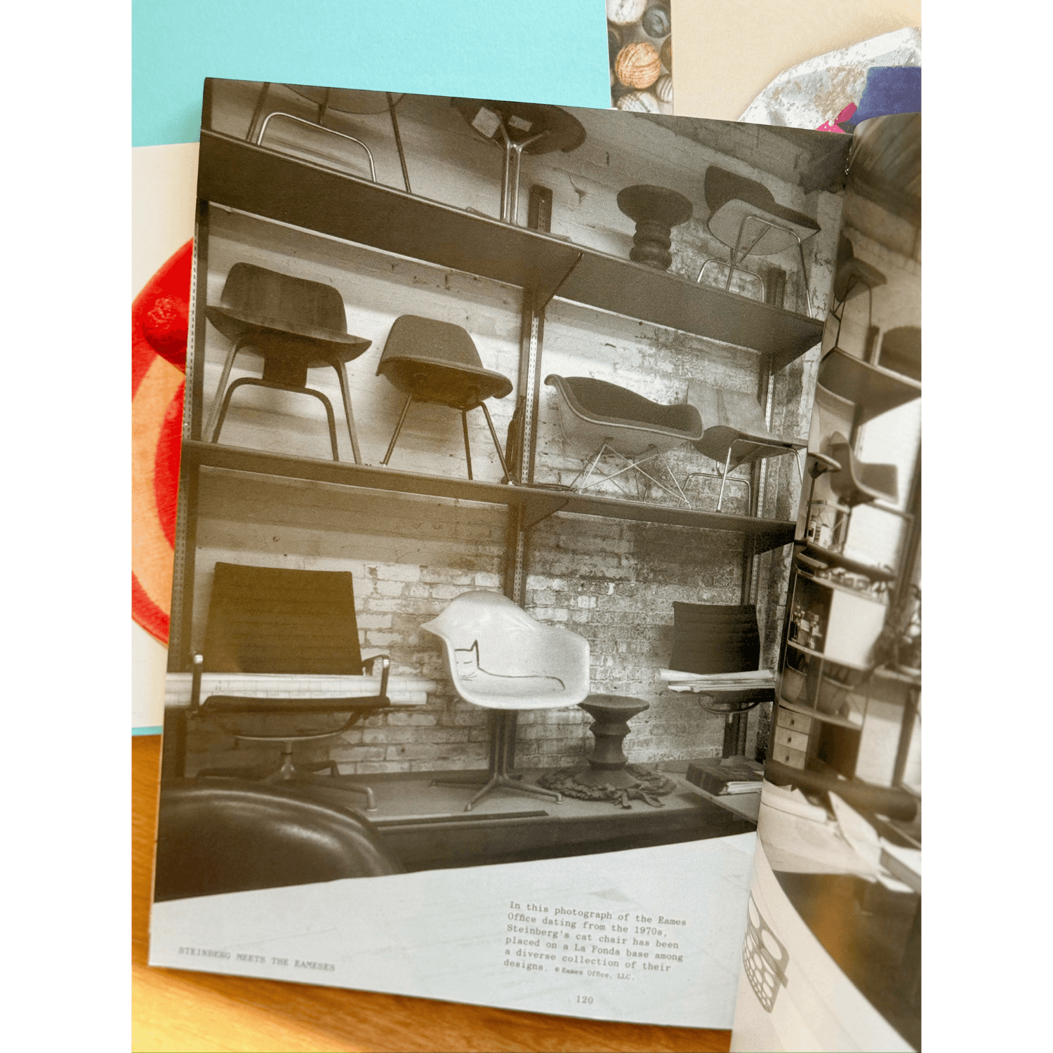 Steinberg Meets the Eameses | Artifacts from the Eames Collection