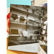 Steinberg Meets the Eameses | Artifacts from the Eames Collection