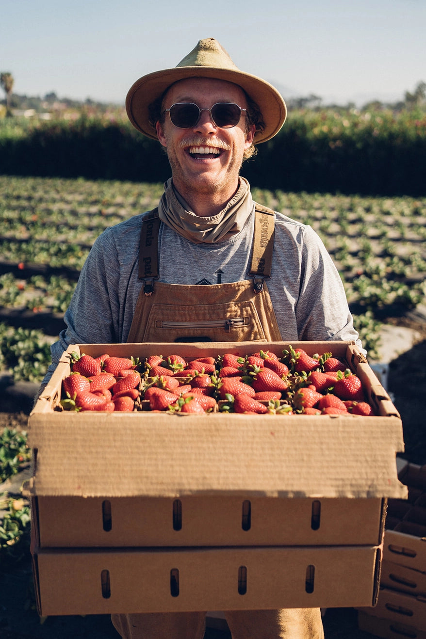 Strawberry Fruit Infused Vinegar by Sideyard Shrubs