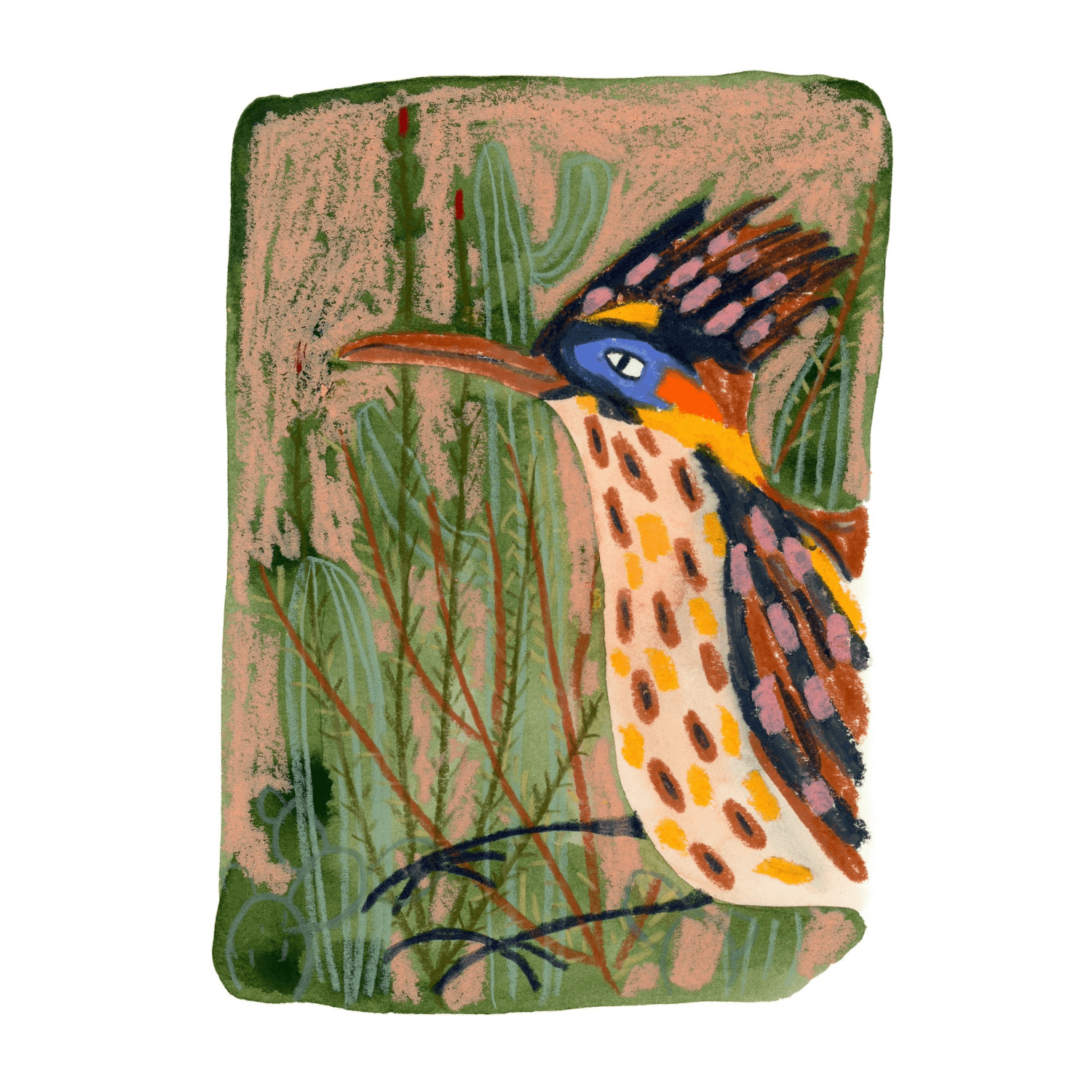 Illustration of a colorful roadrunner bird in the desert on a white background