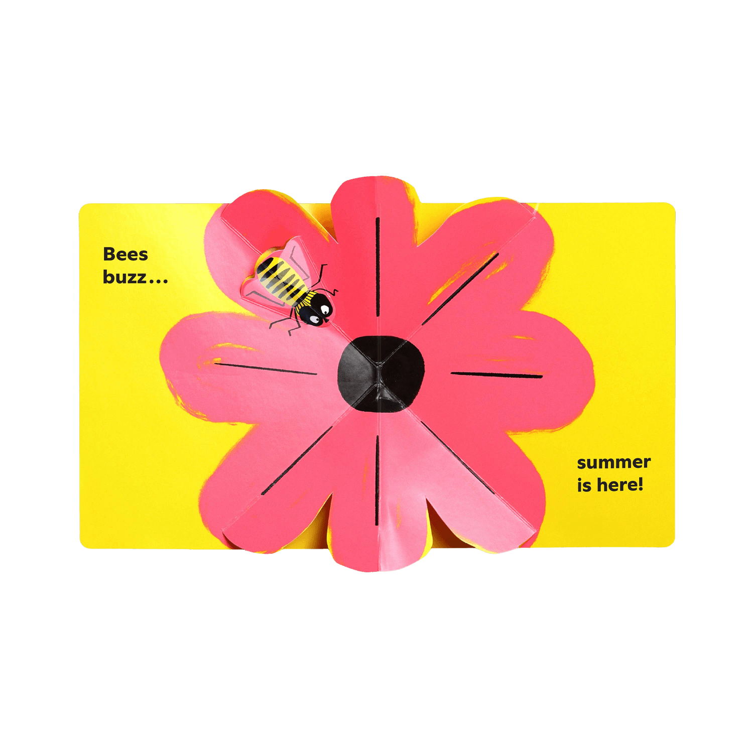 Summer Pops Up! | PHAIDON