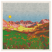 The American Basin | 12" x 12" | Art Print