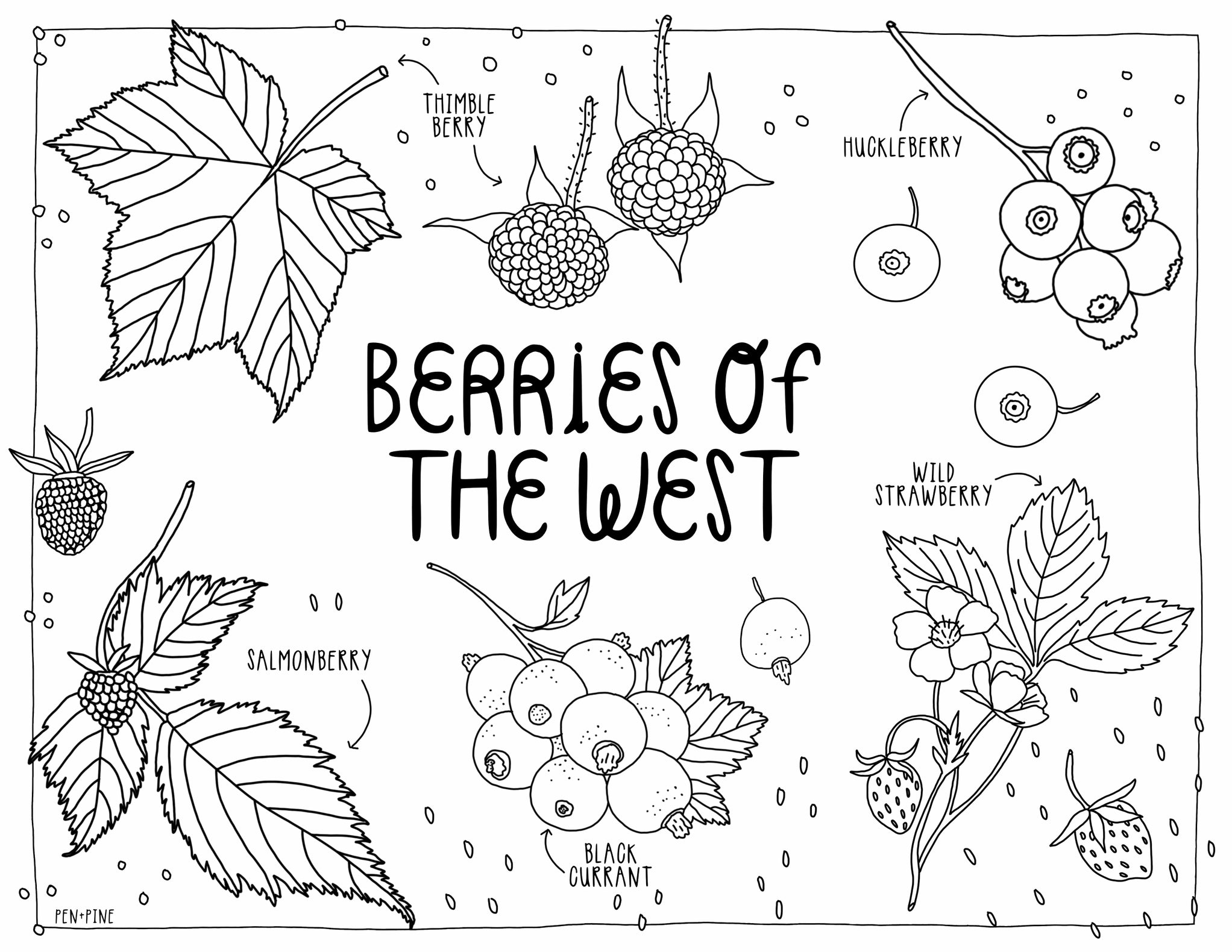 West Coast Wonderful Coloring Book