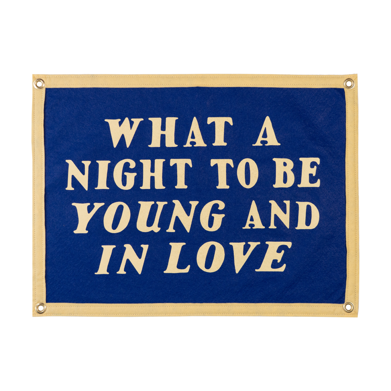 what-a-night-young-in-love-flag.png