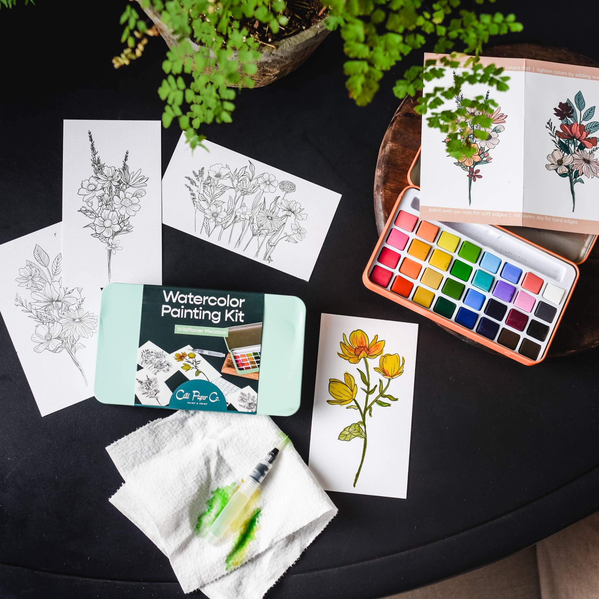 Watercolor painting kit with watercolor paper, paint, and a plant on a dark surface.