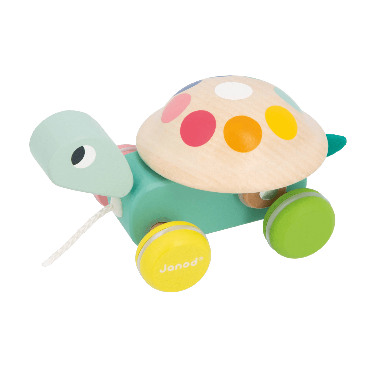 Pull-Along Turtle | Zigolos