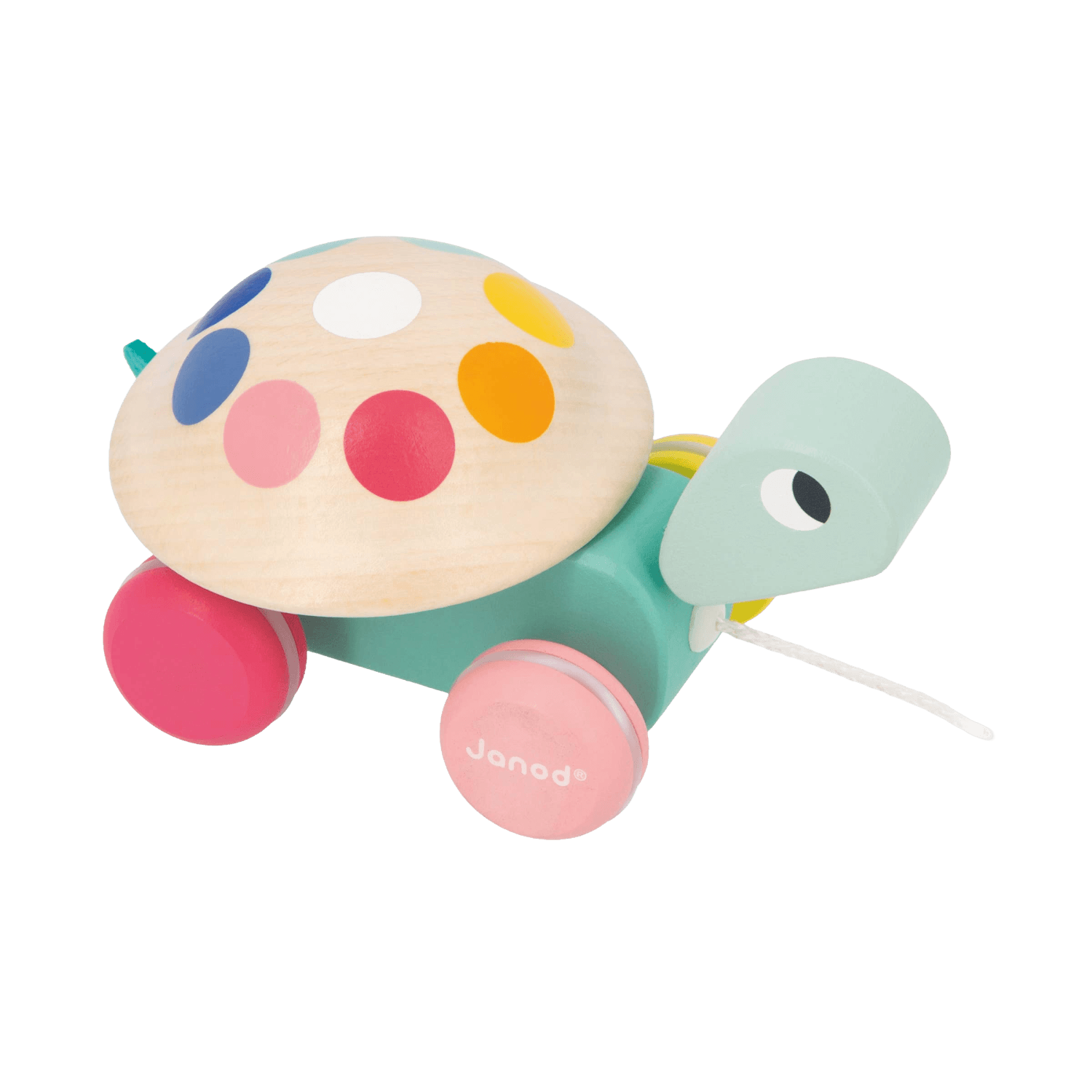 Pull-Along Turtle | Zigolos