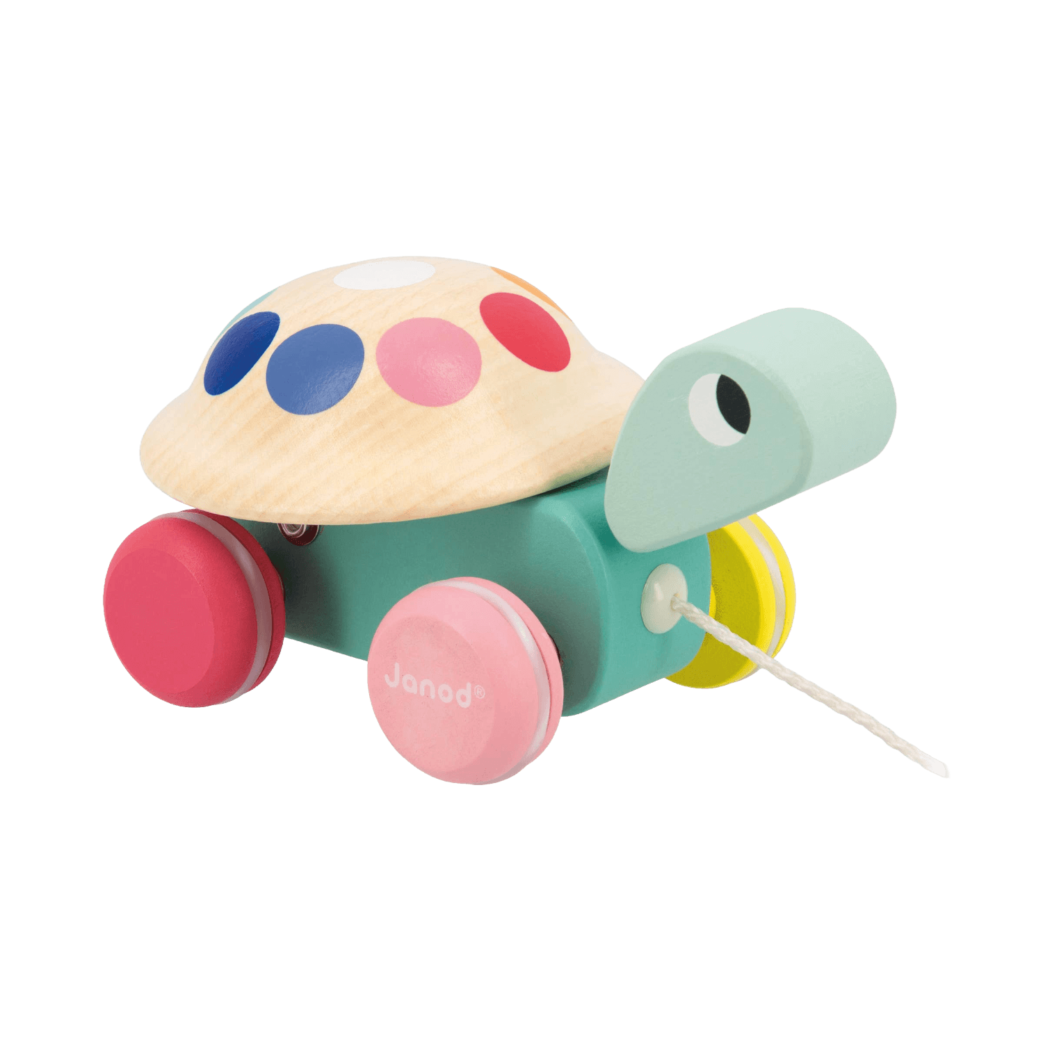 Pull-Along Turtle | Zigolos