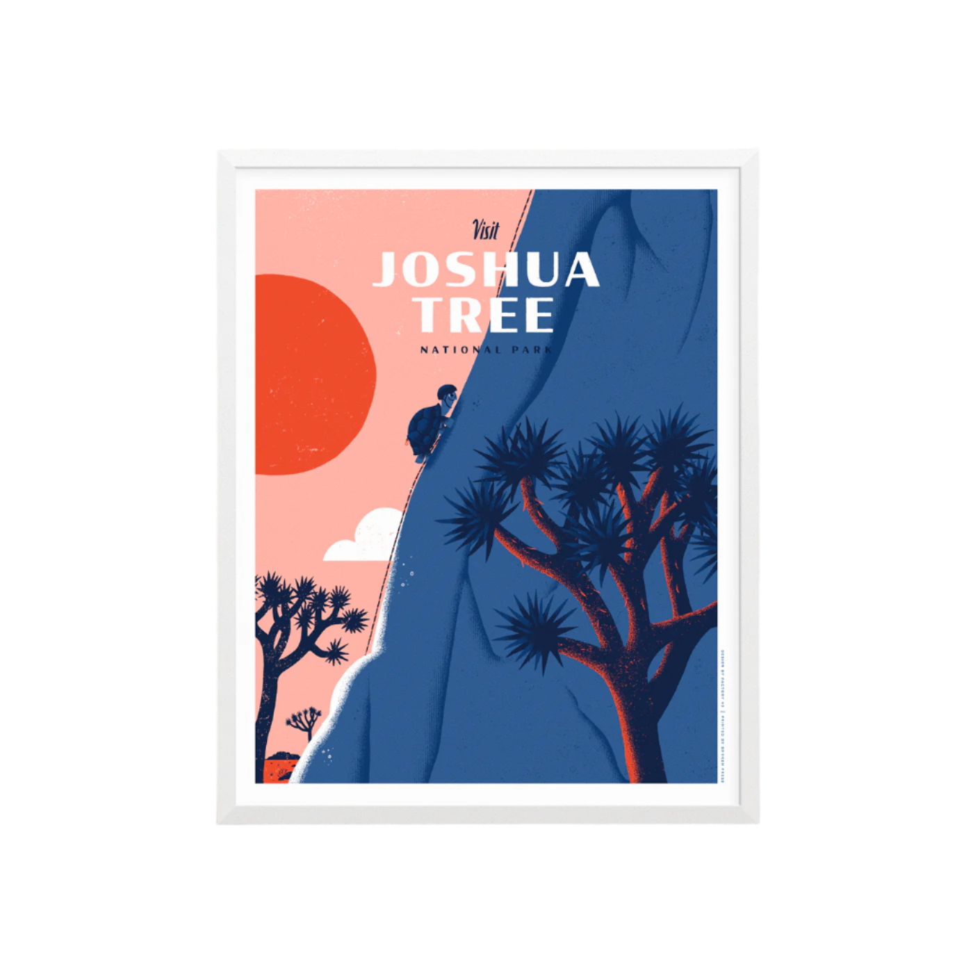 Joshua Tree National Park Screen Print