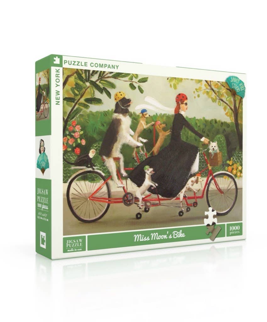 Miss Moon's Bike Puzzle by Janet Hill